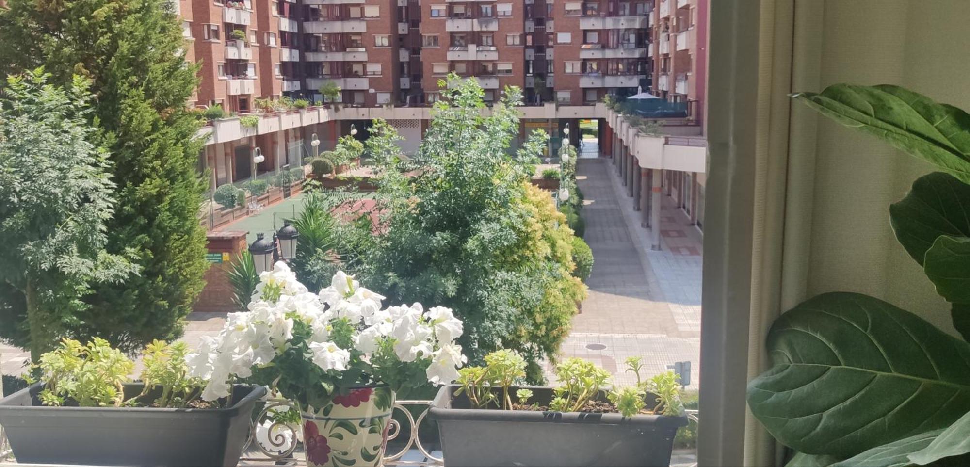 Alojamiento Oviedo 3 Con Parking エクステリア 写真